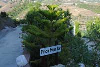 Finca MonTor