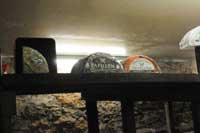 Roquefort