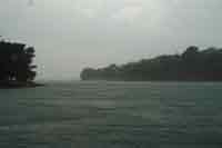 rain