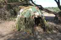 Hadza Haus