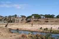 Tarangire Fluss