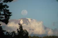 Kili mit Mond